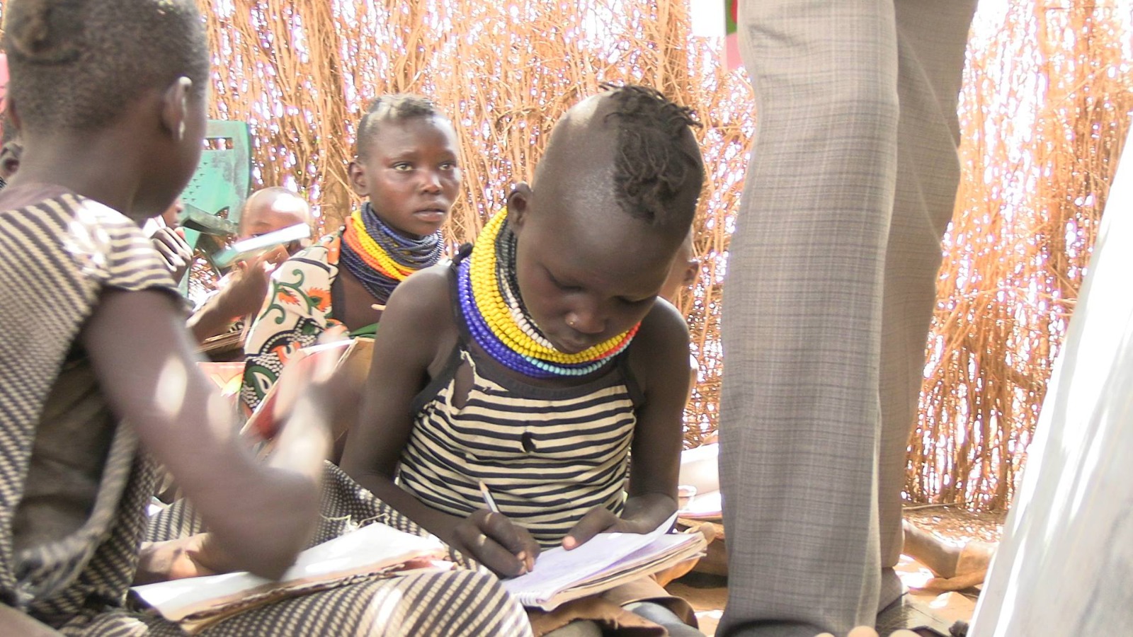 Gender and Social Inclusion