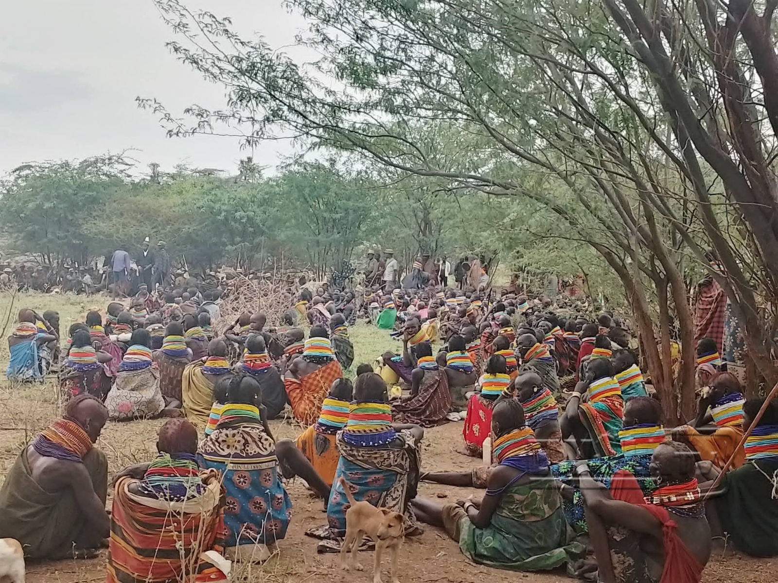 Livelihood and Economic Empowerment